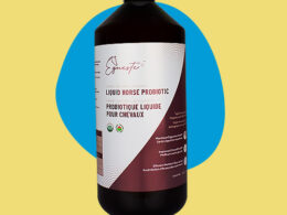 Boost equine wellness with EQUESTE+ Liquid Horse Probiotic – rapid absorption formula for digestive support.