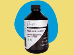 Boost equine wellness with EQUESTE+ Liquid Horse Probiotic – rapid absorption formula for digestive support.