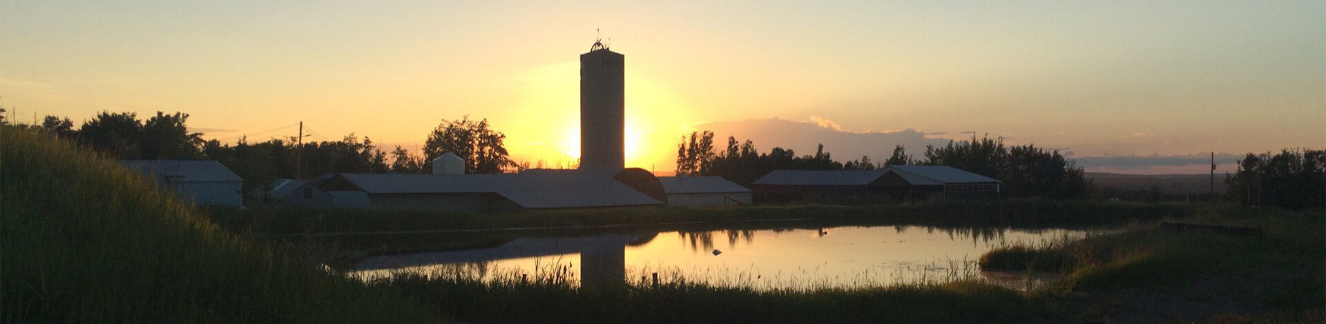 Peace Vale Farm